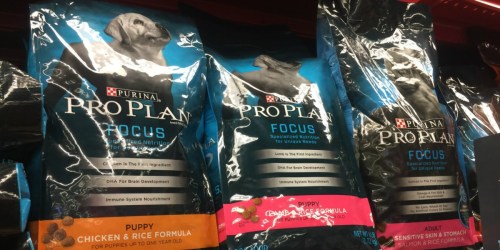 PetSmart: Free Bag Of Dog Or Cat Food – No Purchase Necessary (Check Inbox)