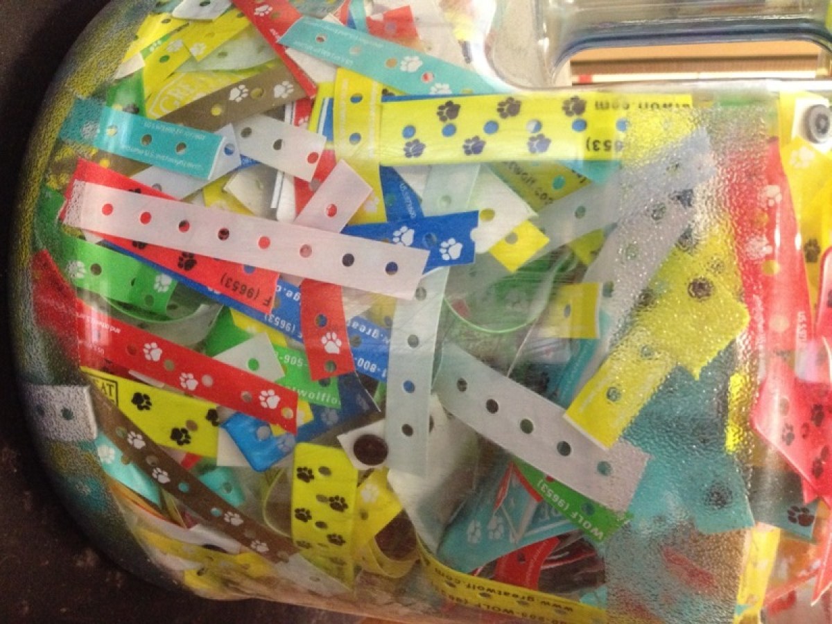 wristbands in a jar