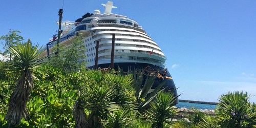 32 of Our Best Tips to Help You Save BIG on Your Next Cruise