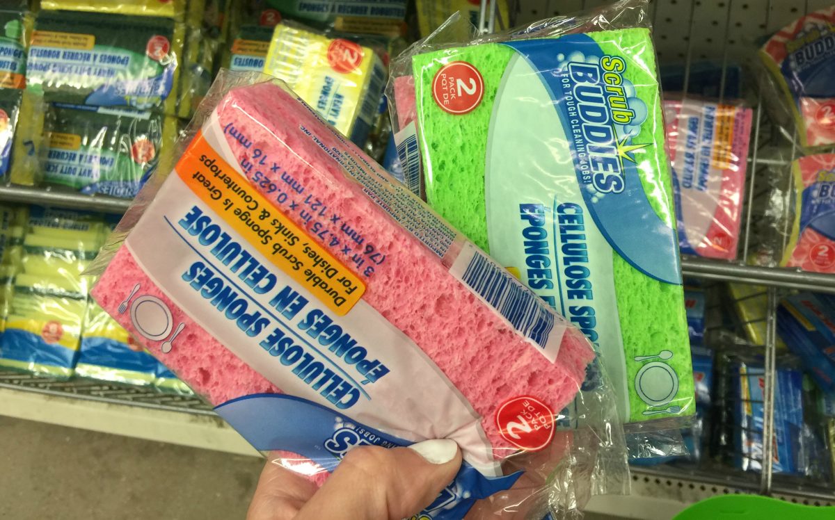 sponges at Dollar Tree