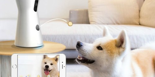 Amazon Prime: Furbo Dog Treat Tossing Cam Only $139 Shipped (Regularly $249)