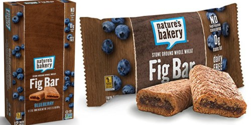 Amazon: 30% Off Nature’s Bakery Fig Bars