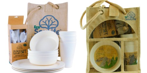 Target.com: EcoSouLife Bamboo Picnic Set for 4 Only $20.98 (Regularly $59.99)