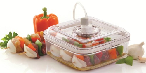 Food Saver Quick Marinator Just $4.49 Shipped (Regularly $22) + More