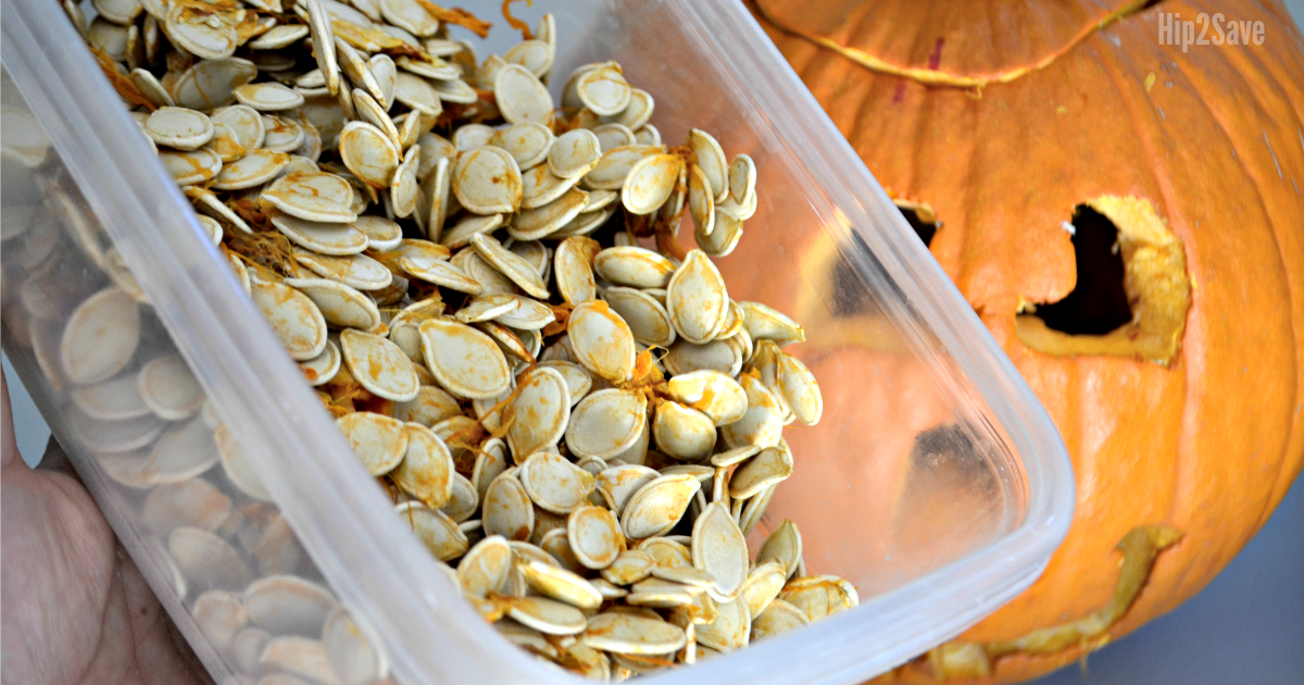 holding pumpkin seeds in food storage container