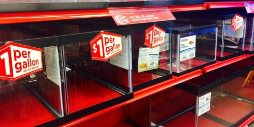$1 Per Gallon Fish Tank Sale at Petco (In-Store Only)