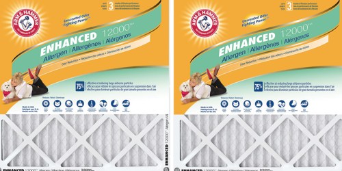 Home Depot: Arm & Hammer Allergen Control Air Filter 4-Pack Only $19.99 Shipped (Just $5 Each)