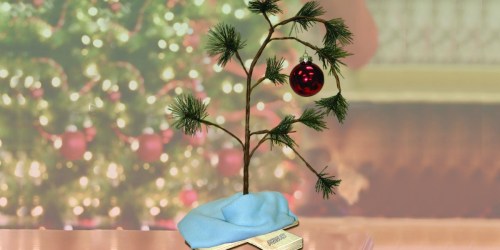 Charlie Brown Christmas Tree w/ Blanket & Ornament Just $9.87 on Walmart.com