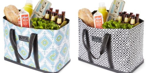 Zulily: SCOUT Large Tote Bags Just $24.99