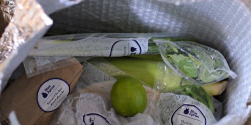 SIX Single Serve Fresh Meals ONLY $29.94 Delivered from Blue Apron