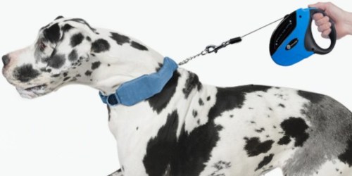 Amazon: Retractable Dog Leash Only $11.39