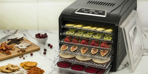 Best Buy: 6-Tray Food Dehydrator $59.99 Shipped (Regularly $100)