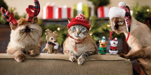 Petco 2018 Black Friday Deals Ad Scan is LIVE