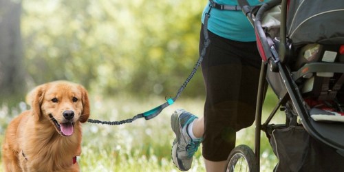 Amazon: Retractable Hands Free Dog Leash w/ Dual Bungees Only $13.99 (Awesome Reviews)