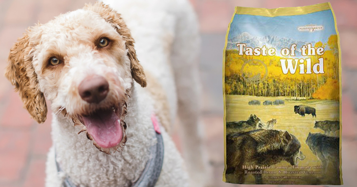 cute dog with 28 pound bag of taste of the wild dry dog food