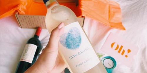 Vine Oh! Holiday Box $44.99 Shipped (Over $140 Value) – Includes Wine, Mascara, Jewelry & More