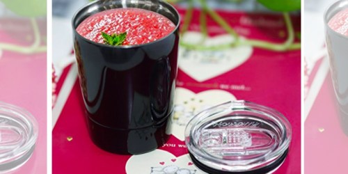Amazon: TWO Pack Stainless Steel Tumblers w/ Silicone Straws ONLY $11.99 + More