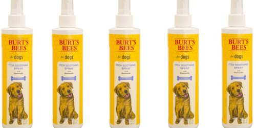 Amazon: Burt’s Bees For Dogs Itch Soothing Spray Only $3.03 (Regularly $9)