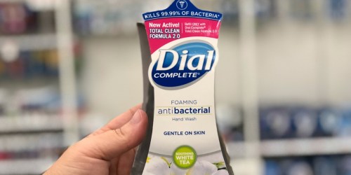 New Dial & Tone Coupons = Foaming Hand Soap ONLY 42¢ at Target + More
