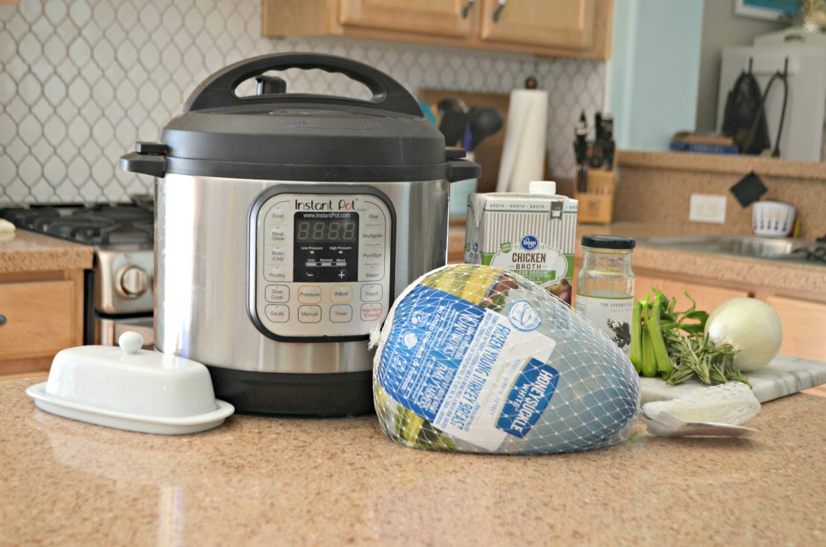 instant pot with small turkey in front