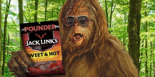 Amazon: Jack Link’s Beef Jerky 1lb Bag Only $8.75