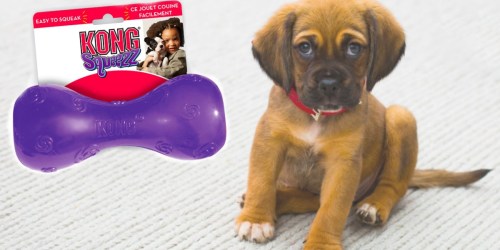 Amazon: KONG Squeezz Ball Dog Toy Only $3.32 (Ships w/ $25 Order)