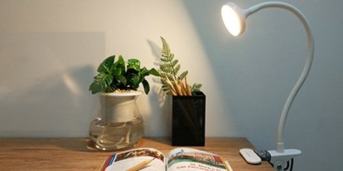 Amazon: LEPOWER LED Clip Light Only $11.99
