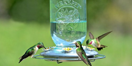 Mason Jar Hummingbird Feeder Just $3.54 (Regularly $20) Ships w/$25 Amazon Order