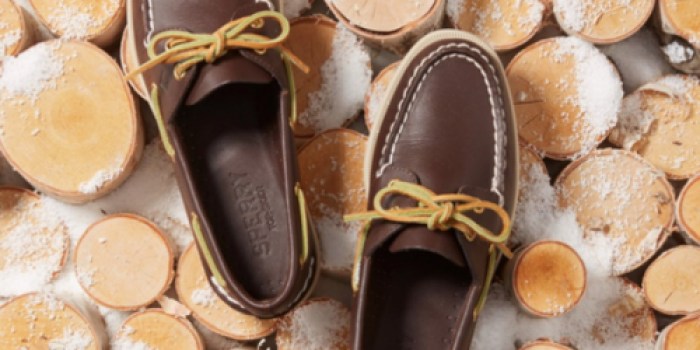 Sperry Boat Shoes Only $39.99 Shipped (Regularly $90+)