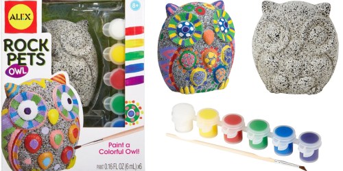 Amazon: Alex Toys Craft Rock Pets Owl ONLY $6.88 (Regularly $13)