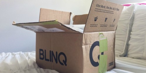 Extra 20% Off at BLINQ + Free Shipping = Unbeatable Deals on Returned & Overstock Products