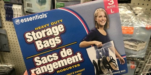 Space Saver Storage Bags Just $1 at Dollar Tree