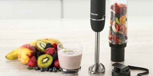 Amazon: Gourmia Immersion Blender & Smoothie Maker Only $15.99 Shipped (Regularly $30)