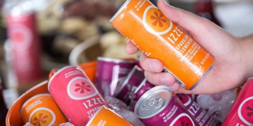 Amazon: Izze Sparkling Juice 24-Count Variety Pack Only $11.87 Shipped (Just 49¢ Per Can)