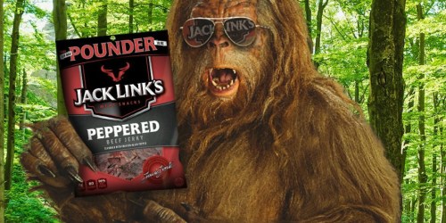 Amazon: Jack Link’s Beef Jerky Pounder Bag Just $12.78 (Multiple Varieties)