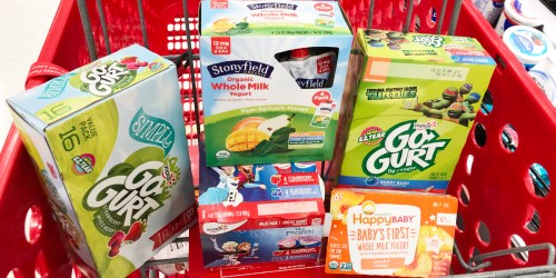 25% Off ALL Kids Yogurt at Target (Danimals, Happy Family, Stonyfield & More)