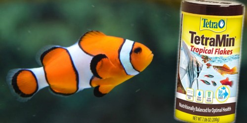 Amazon: TetraMin Tropical Flakes Fish Food Only $5.44 Shipped (Regularly $11)