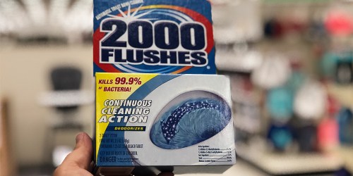 2000 Flushes Toilet Bowl Cleaner Only $1.07 at Target