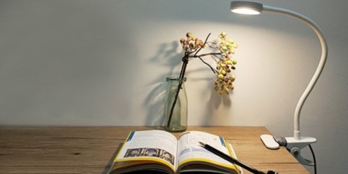 Amazon: LEPOWER Clip On Light Only $10.23