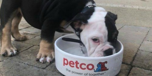 FREE $10 Petco eGift Card When You Spend $60 on Food & Supplies
