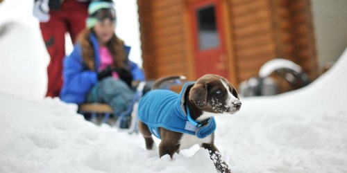Petco Puppy Event: FREE Paw Print Keepsake & $5 Eukanuba Coupon (5/12 Only)