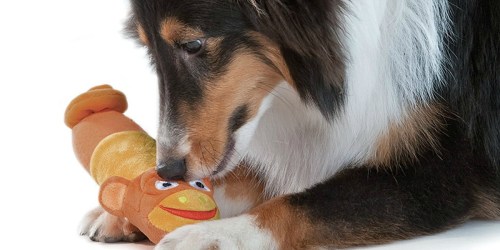 Petstages Lil Squeak Dog Toy ONLY $2.15 (Ships w/ $25 Amazon Order)