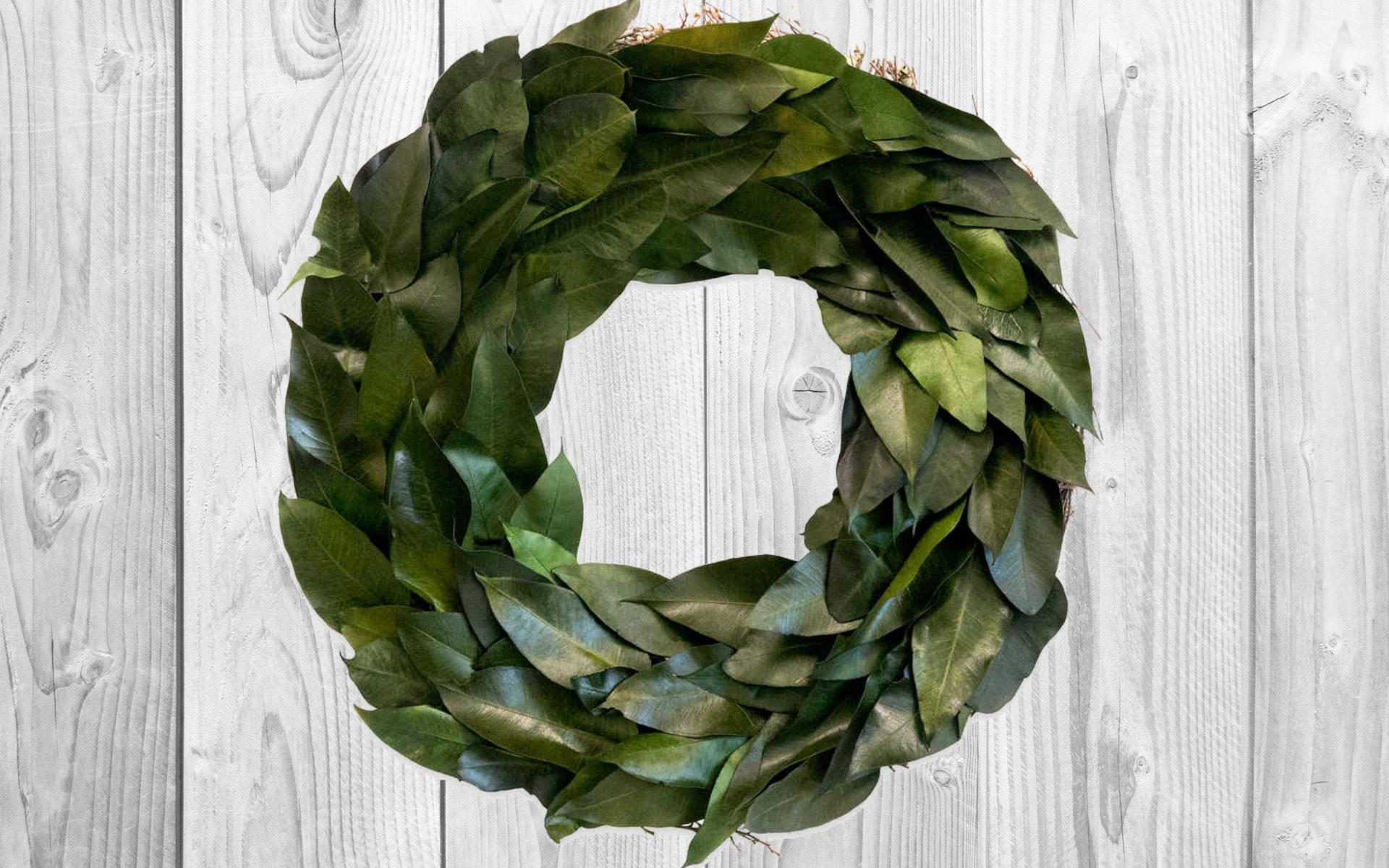 Bed Bath & Beyond has one of our Magnolia Wreath frugal look-alikes