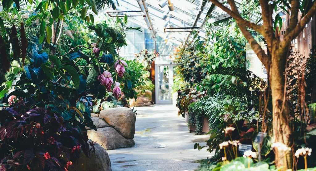 free summer activities for kids — botanical gardens