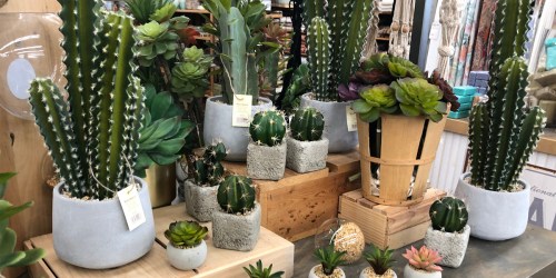 Cost Plus World Market: 30% Off ALL Merchandise & EXTRA 10% Off Food & Beverages