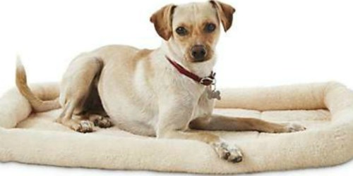 Up to 60% Off Dog Beds at Petco