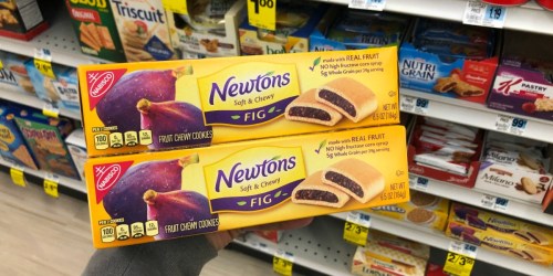Newtons Fig Cookies 12-Count Only $17 Shipped on Amazon (Just $1.43 Per Box)