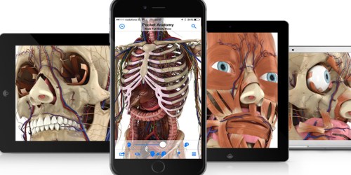 Pocket Anatomy iTunes App Only 99¢ (Regularly $9)