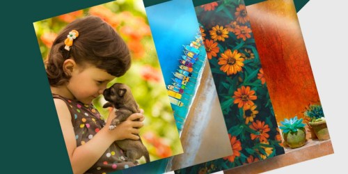 Sam’s Club: 50 Free Photo Prints (Just Create New Photo Account)