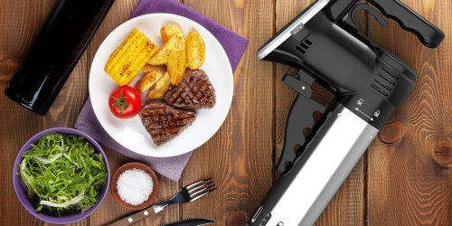 Amazon: Wancle Sous Vide Precision Cooker Only $69.99 Shipped (Great Reviews)